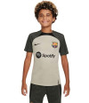 DX3076-222 Nike FC Barcelona Trainingsshirt 2023-2024 Kids